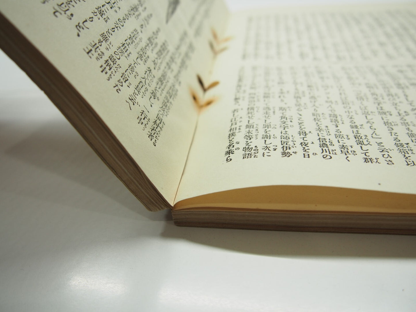 Image #11