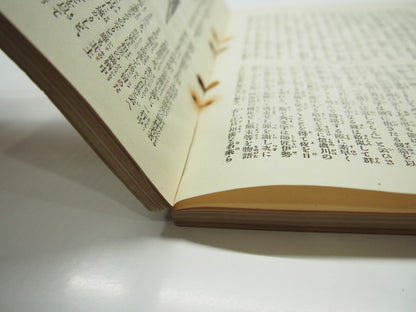 Image #11
