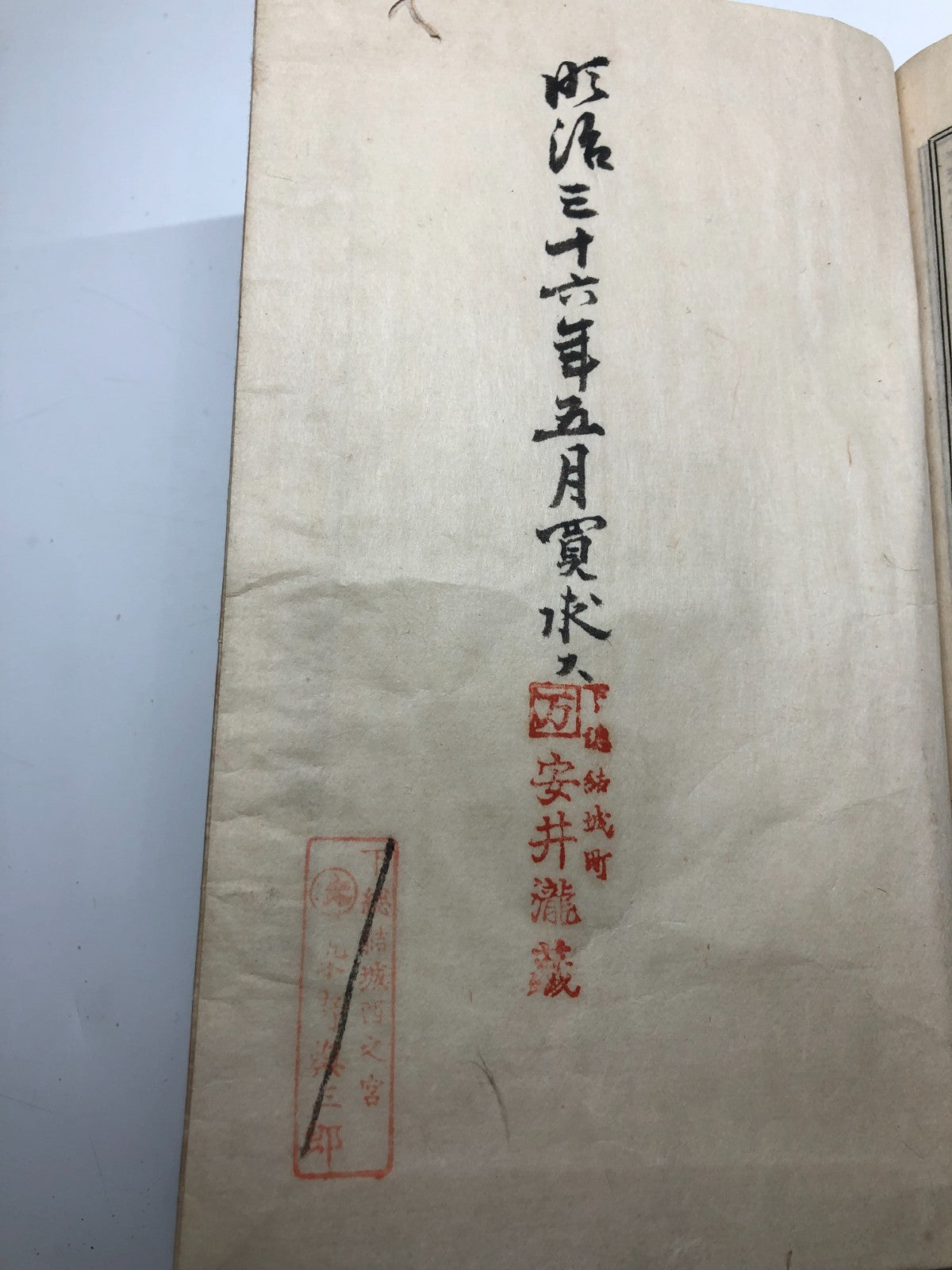 Image #12