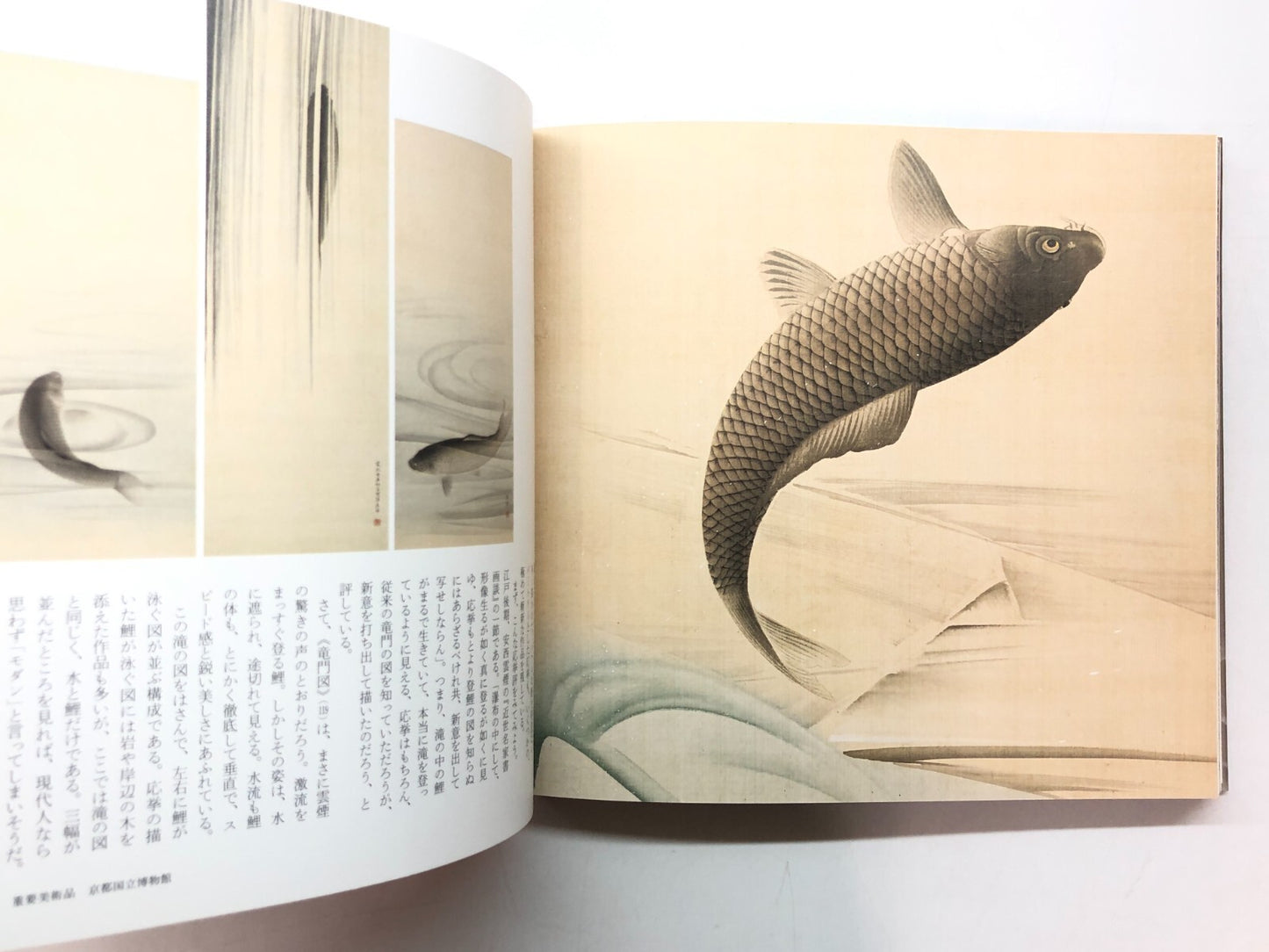 Image #8