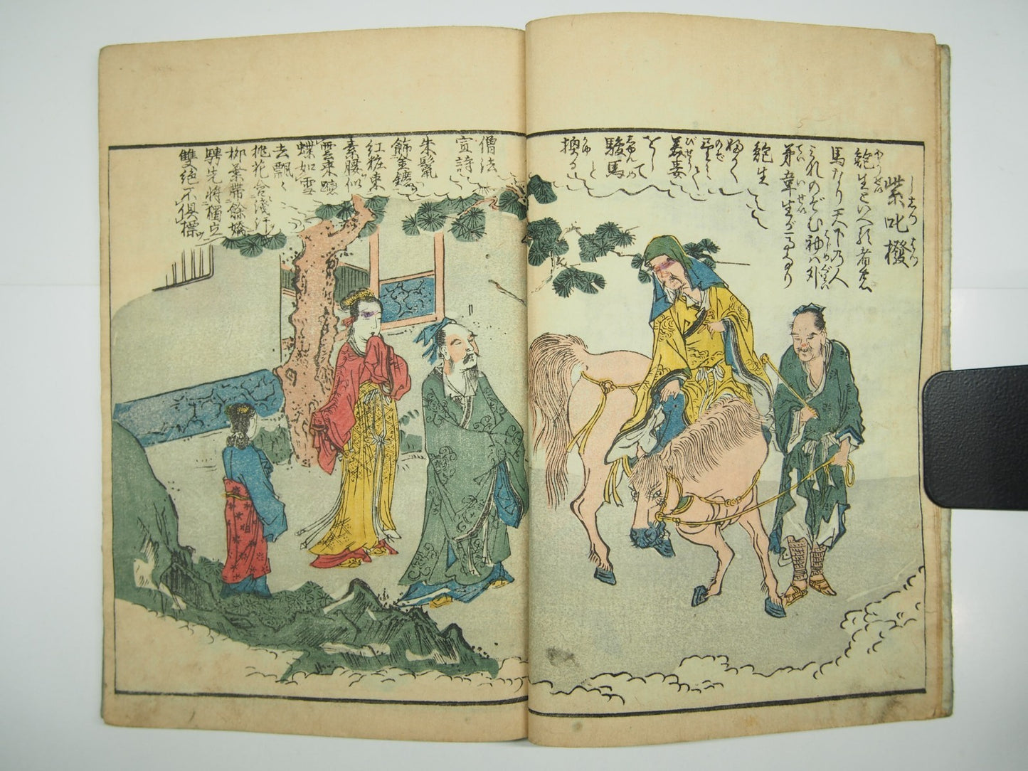 Image #12