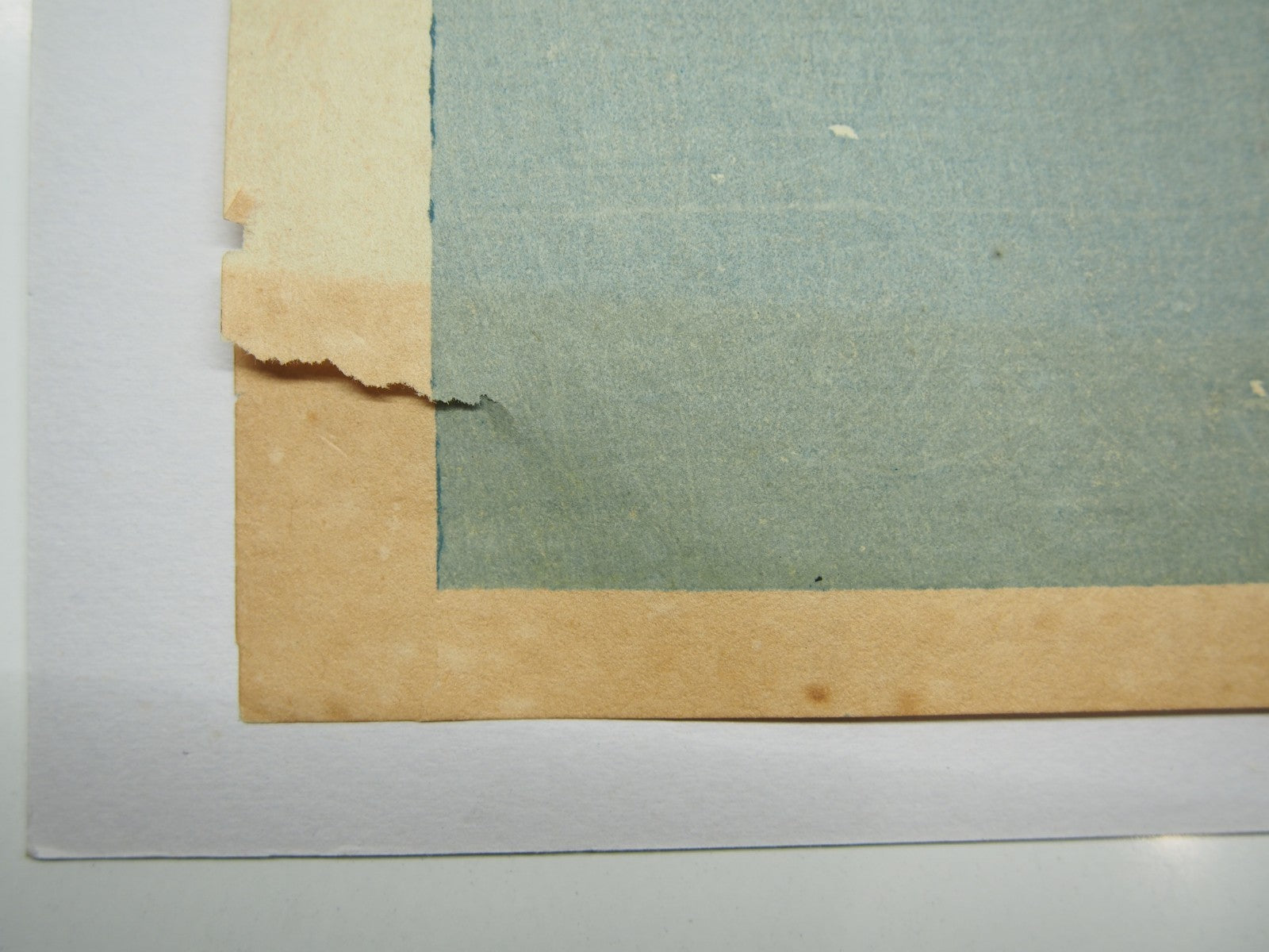Image #7