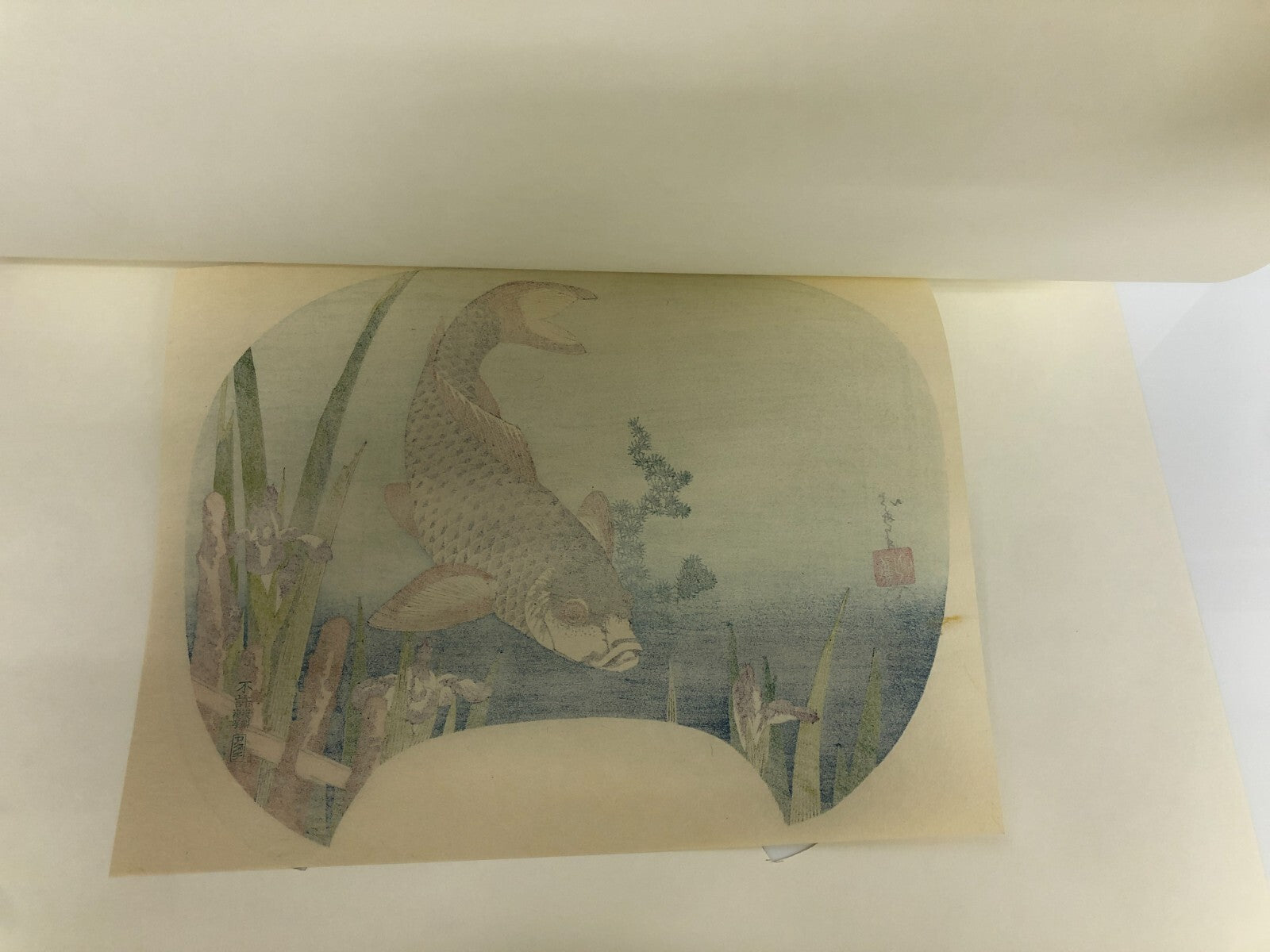 Image #6