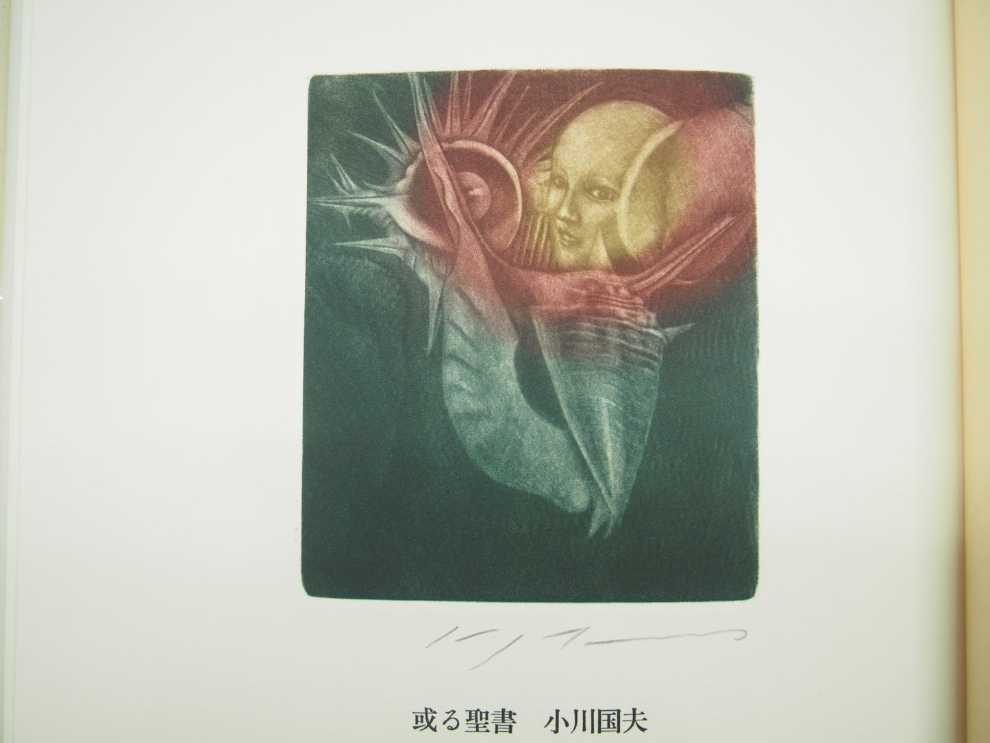 Image #1