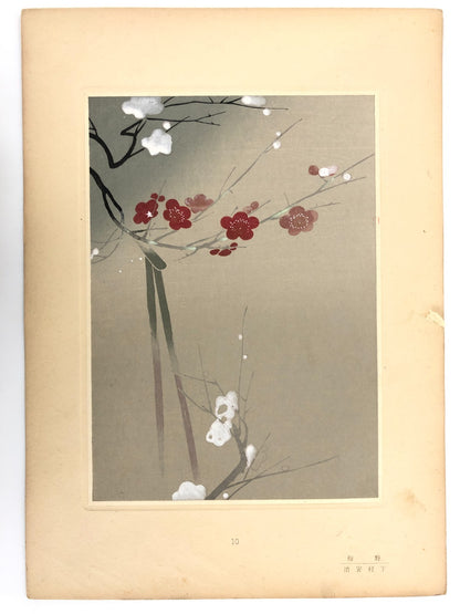 Image #7
