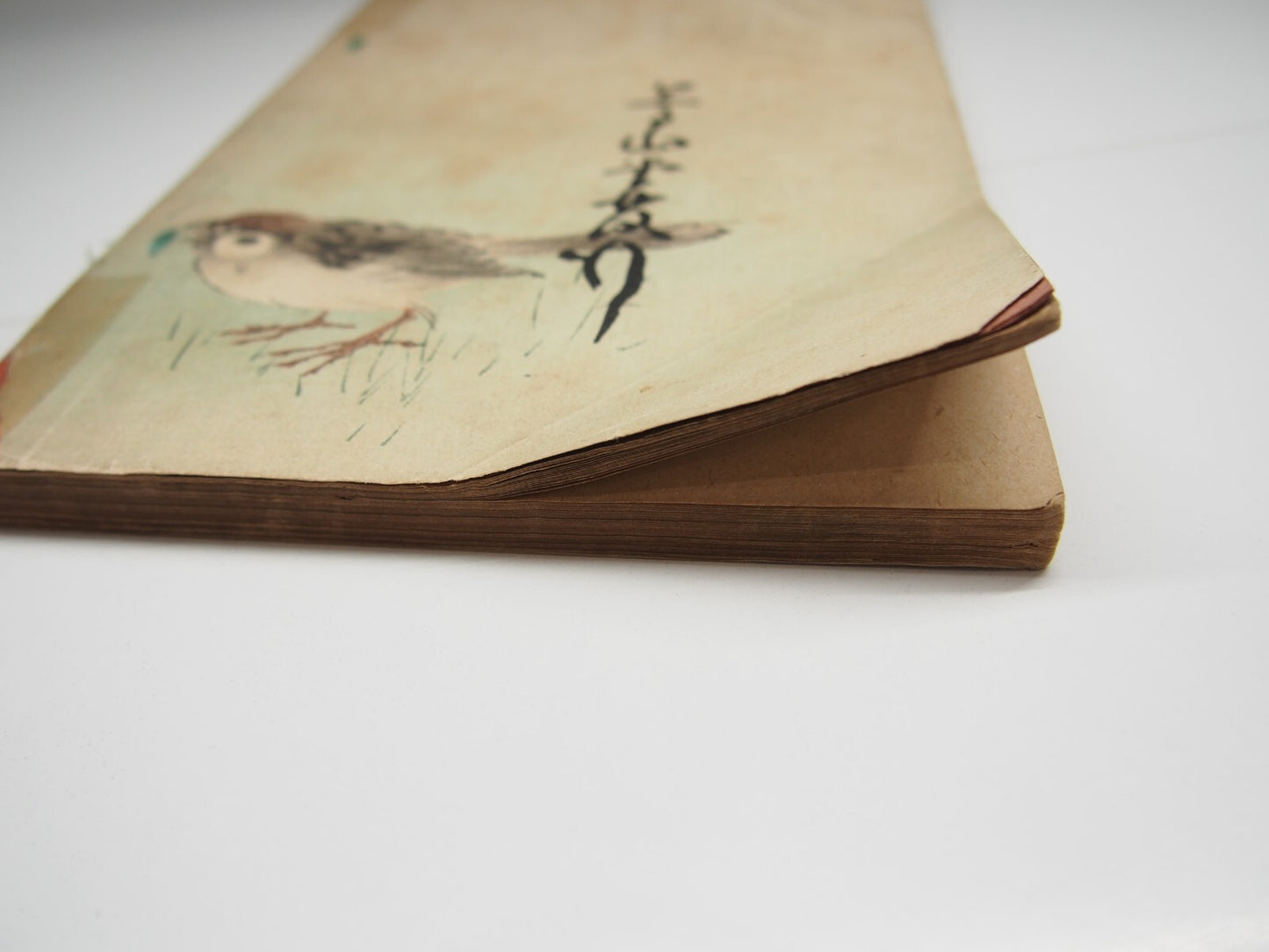 Image #11