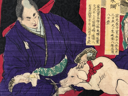 Image #10
