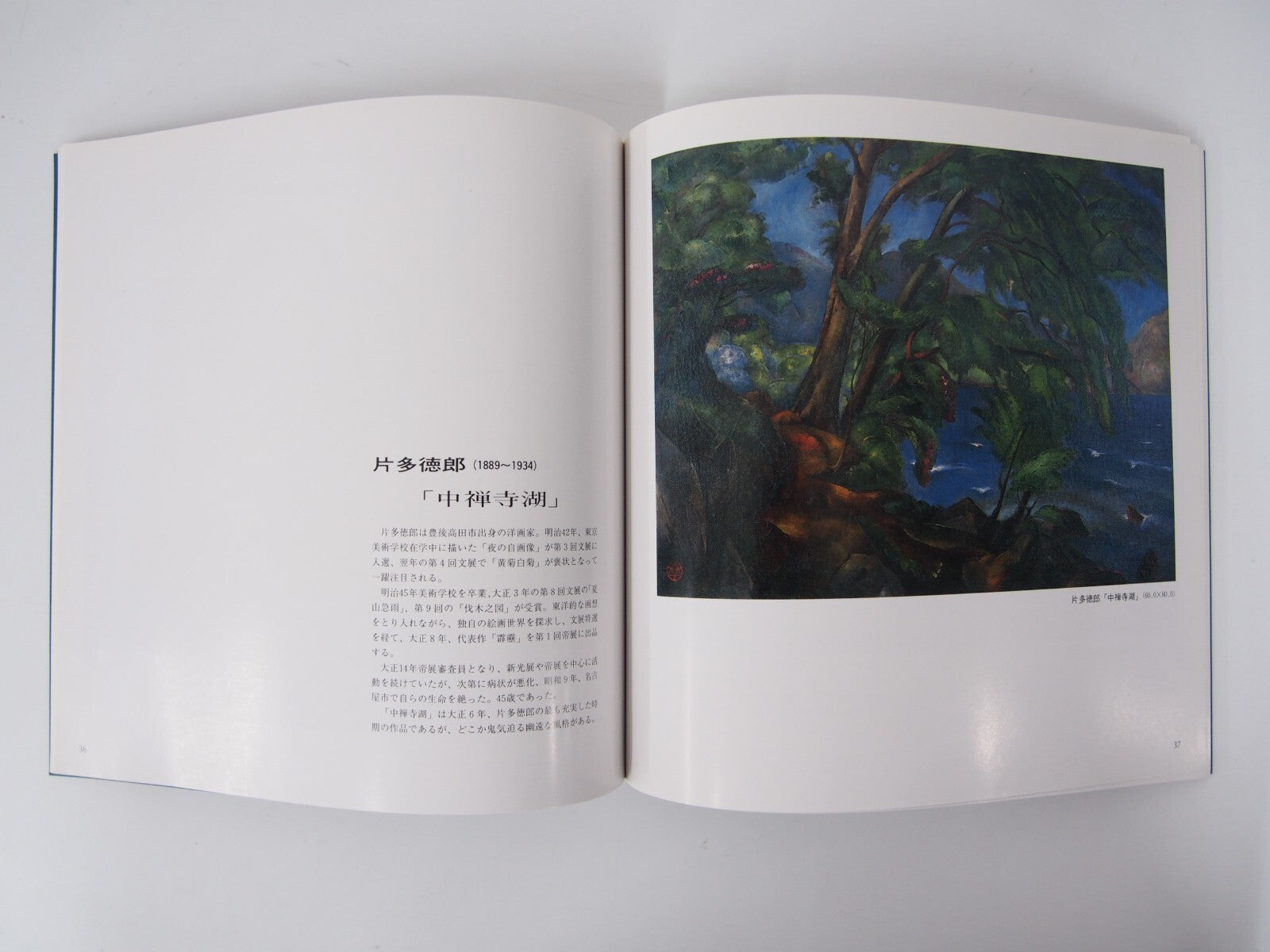 Image #4