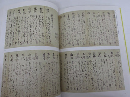 Image #5