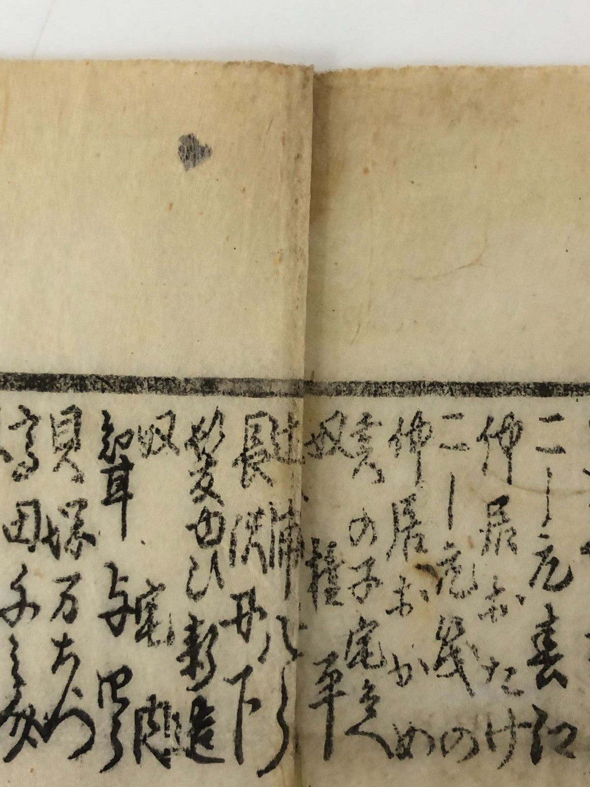 Image #8