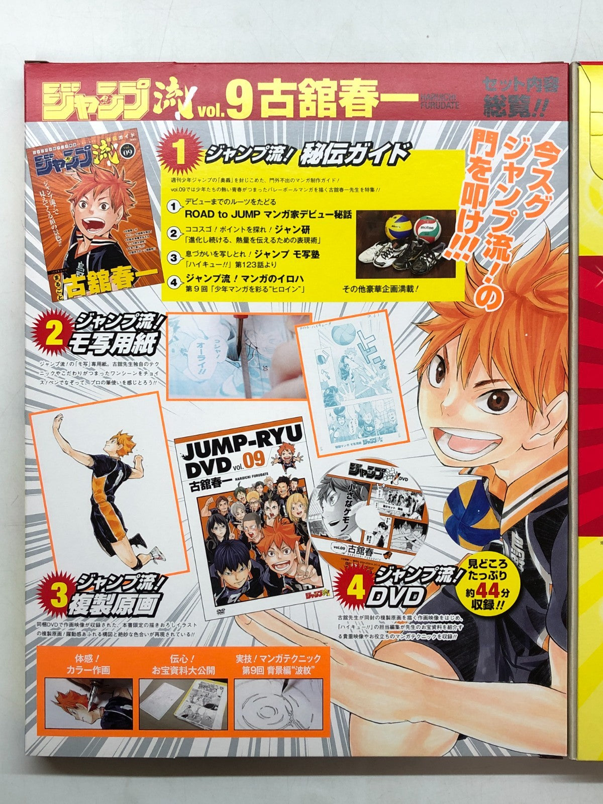 Image #12