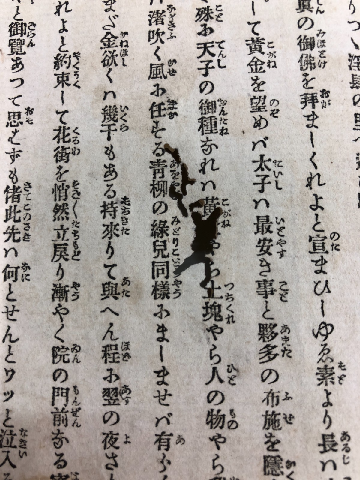 Image #22