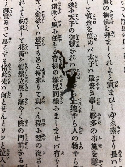 Image #22