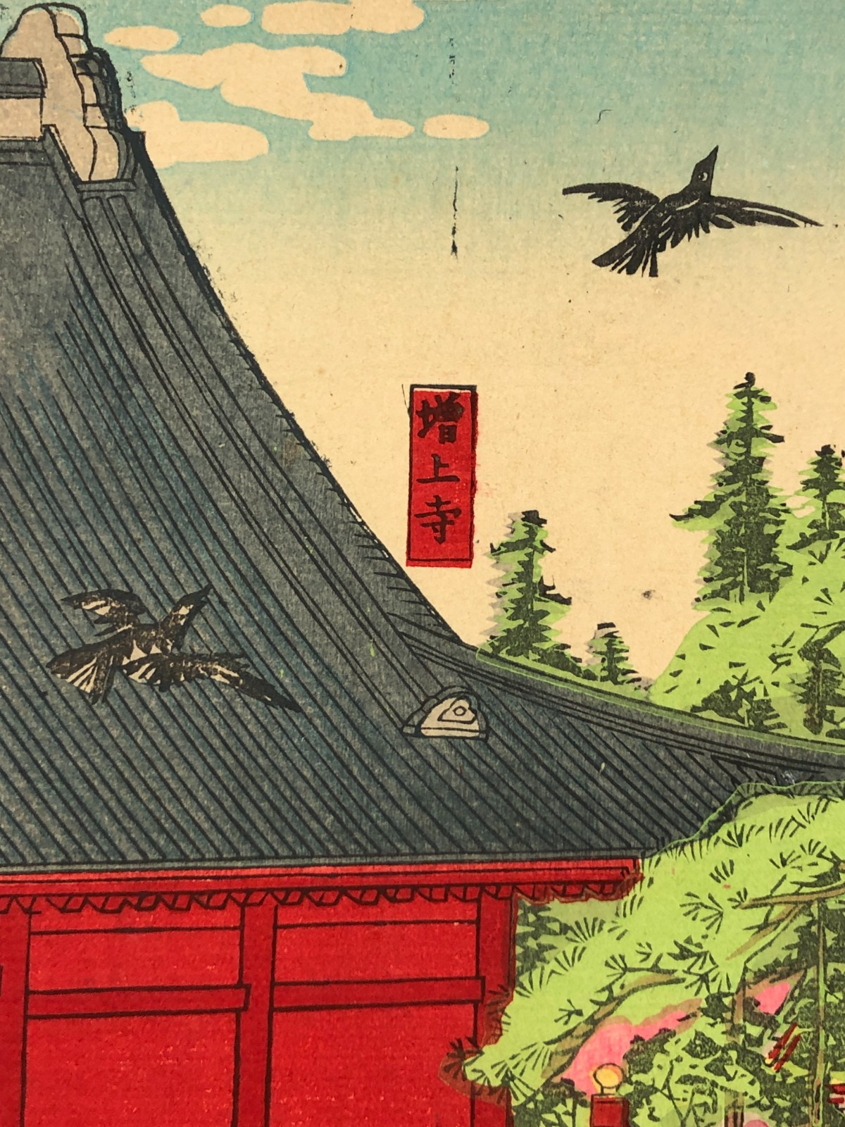 Image #11
