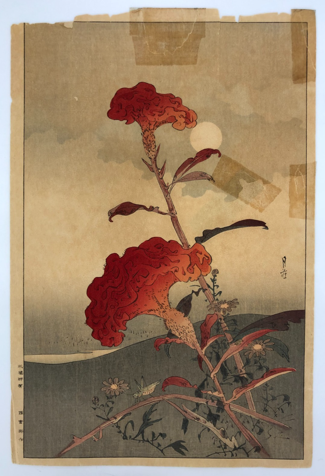 Image #1
