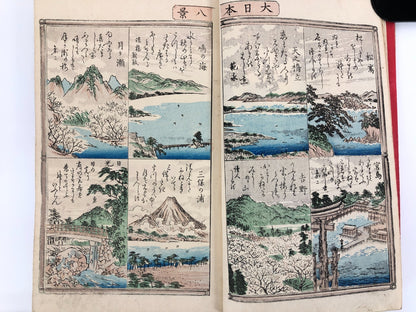 Image #8