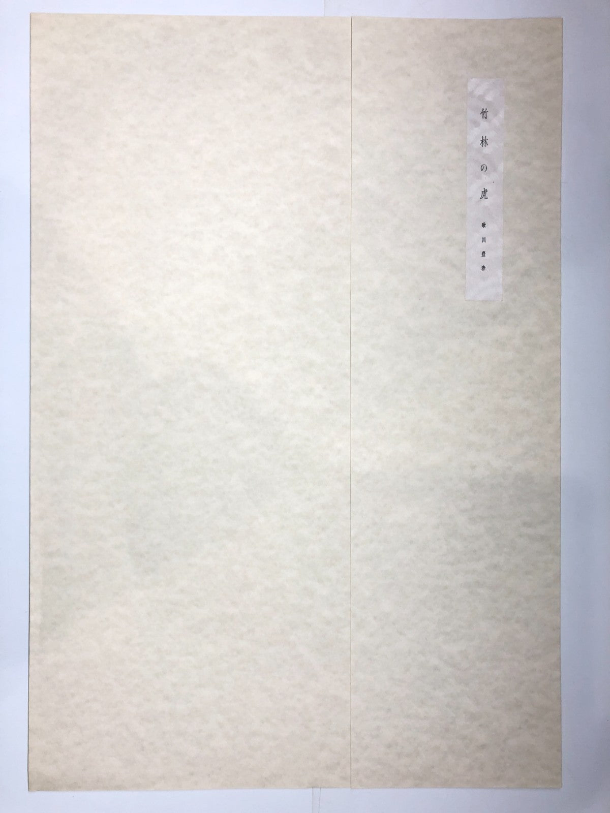 Image #2