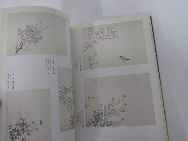Image #5