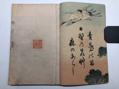 Image #14