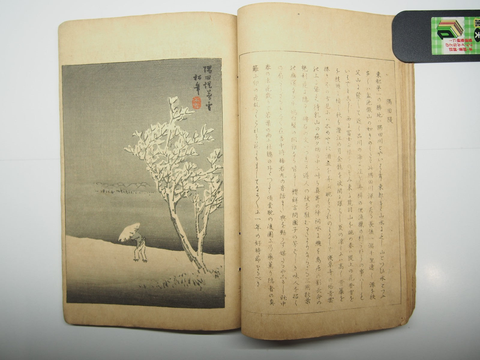 Image #12