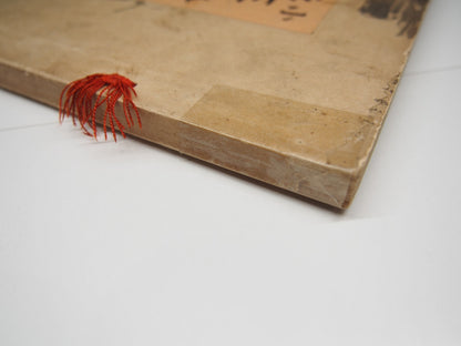 Image #8