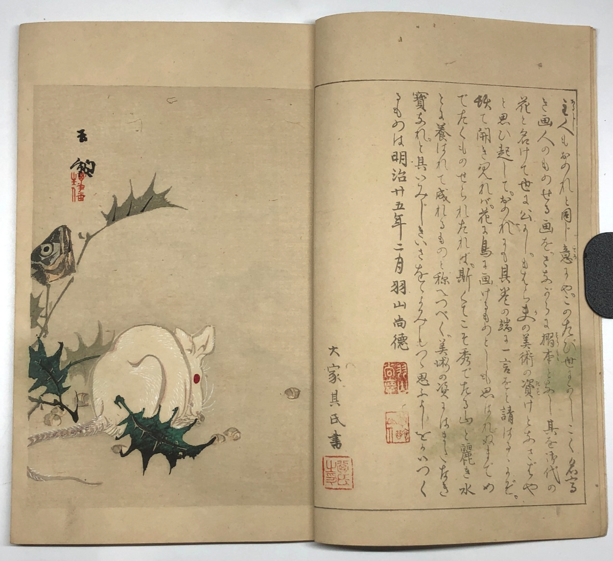Image #7