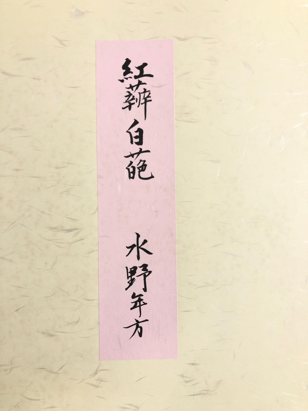 Image #8