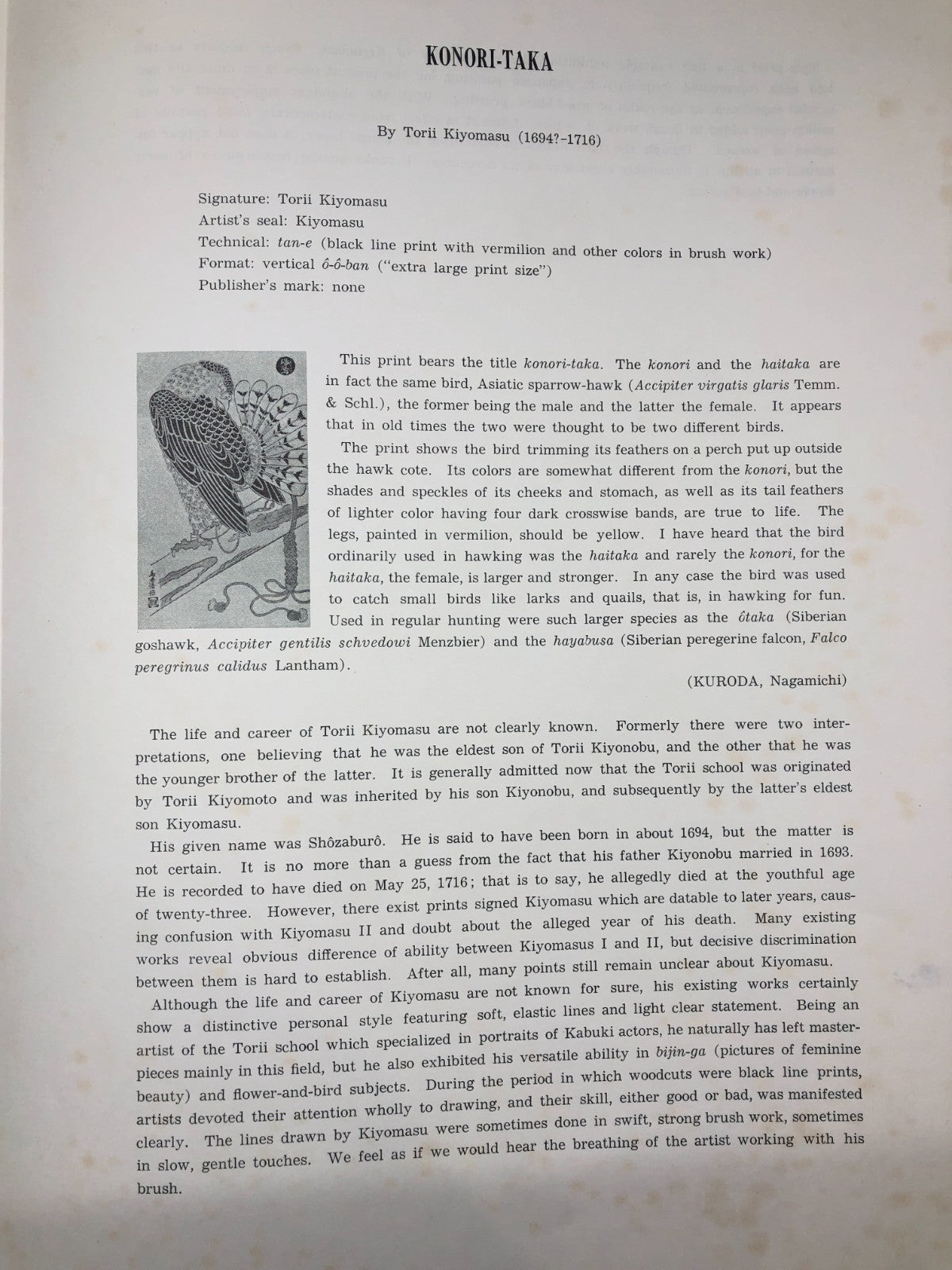 Image #11