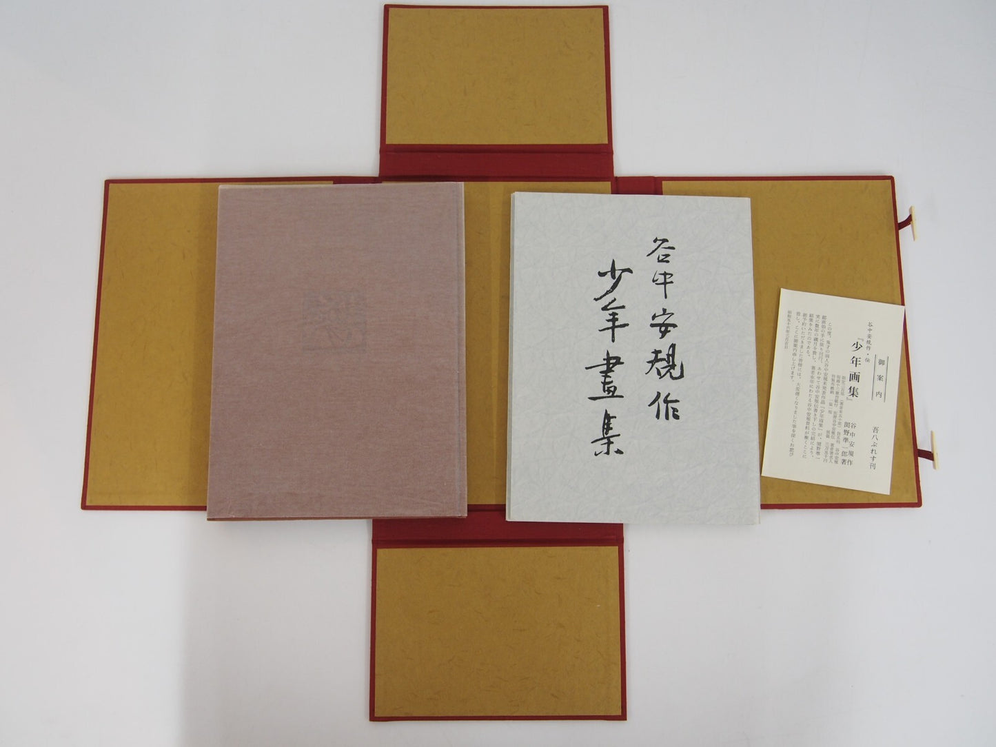 Image #4