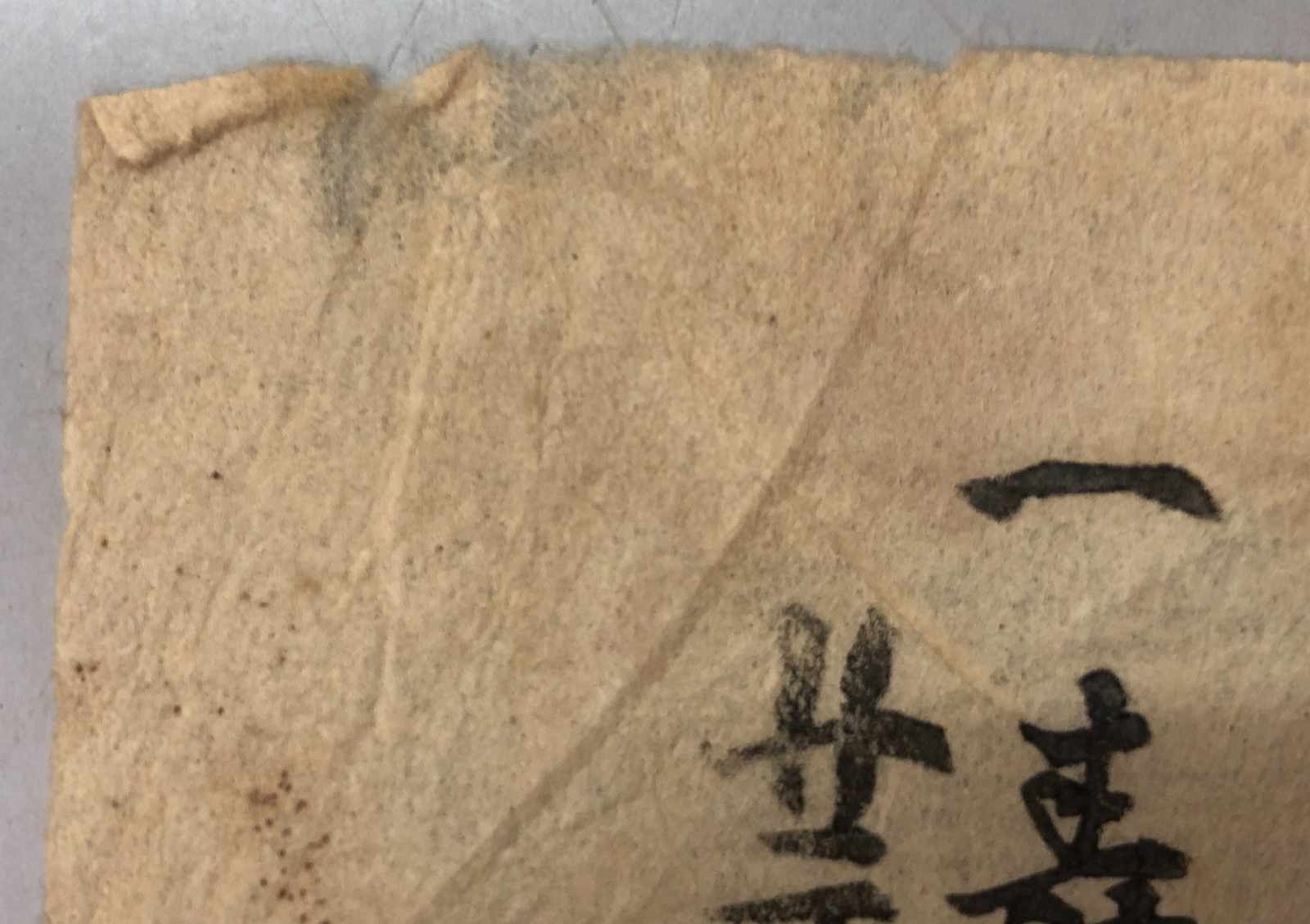 Image #12