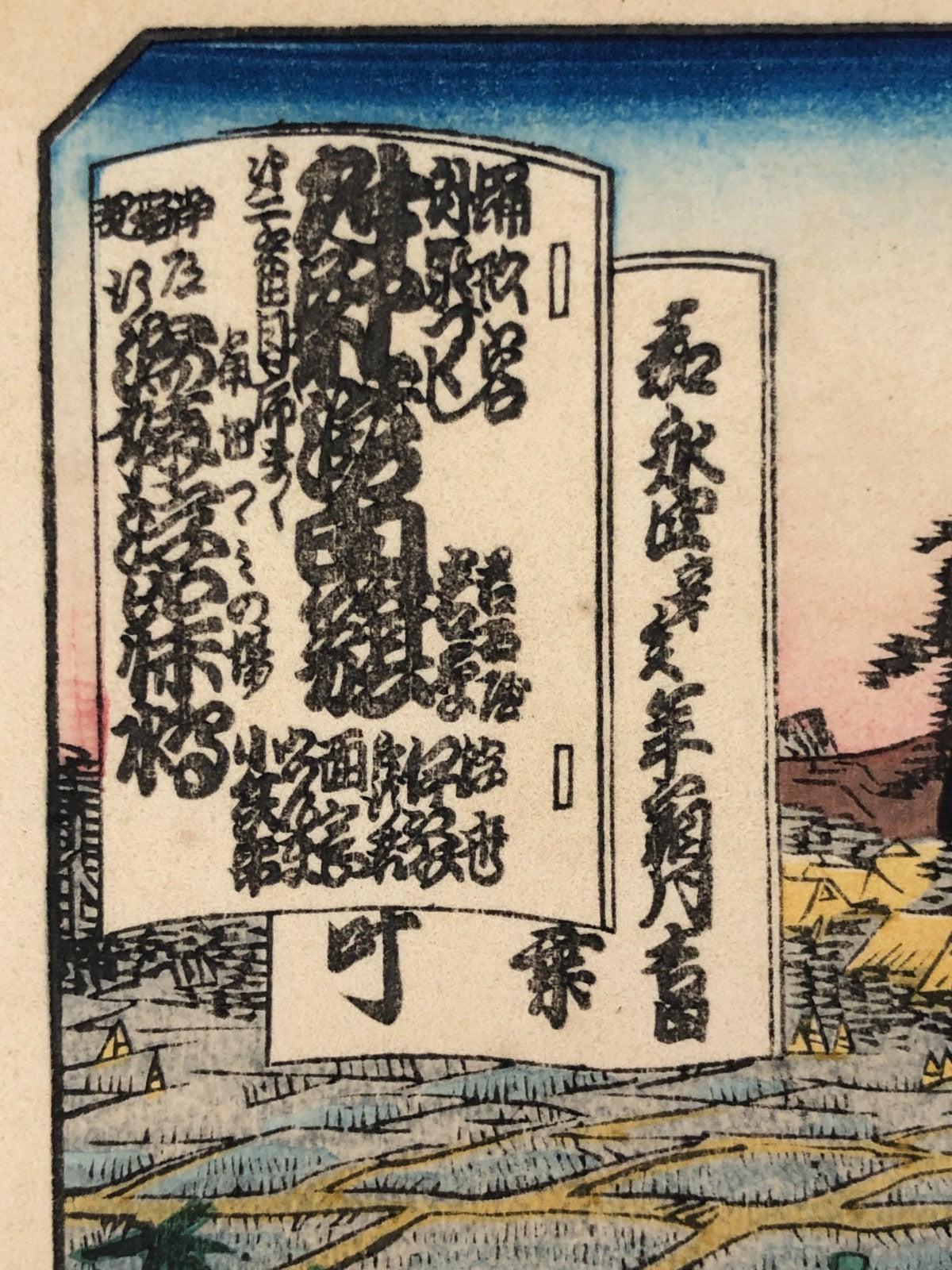 Image #12