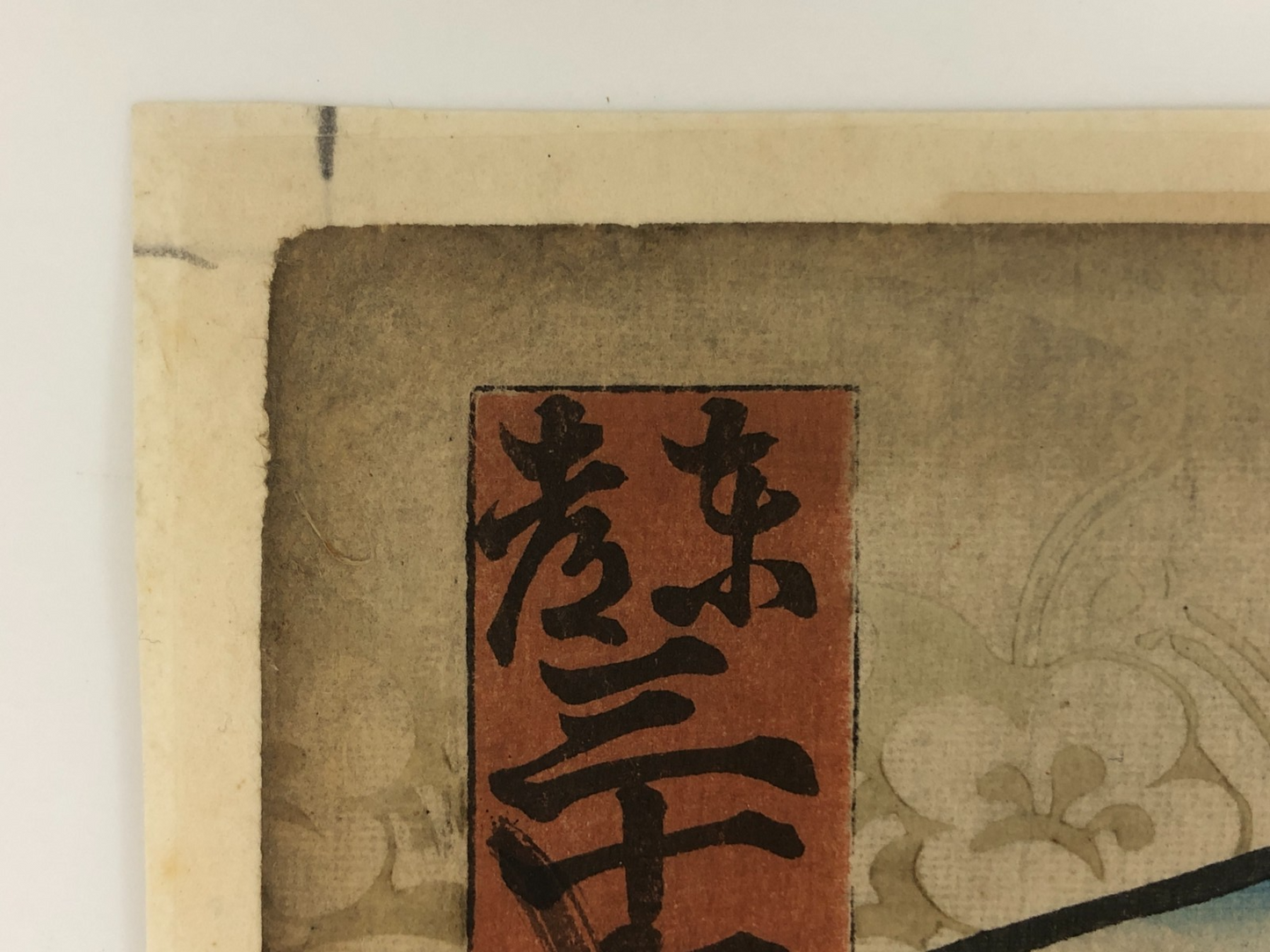 Image #11