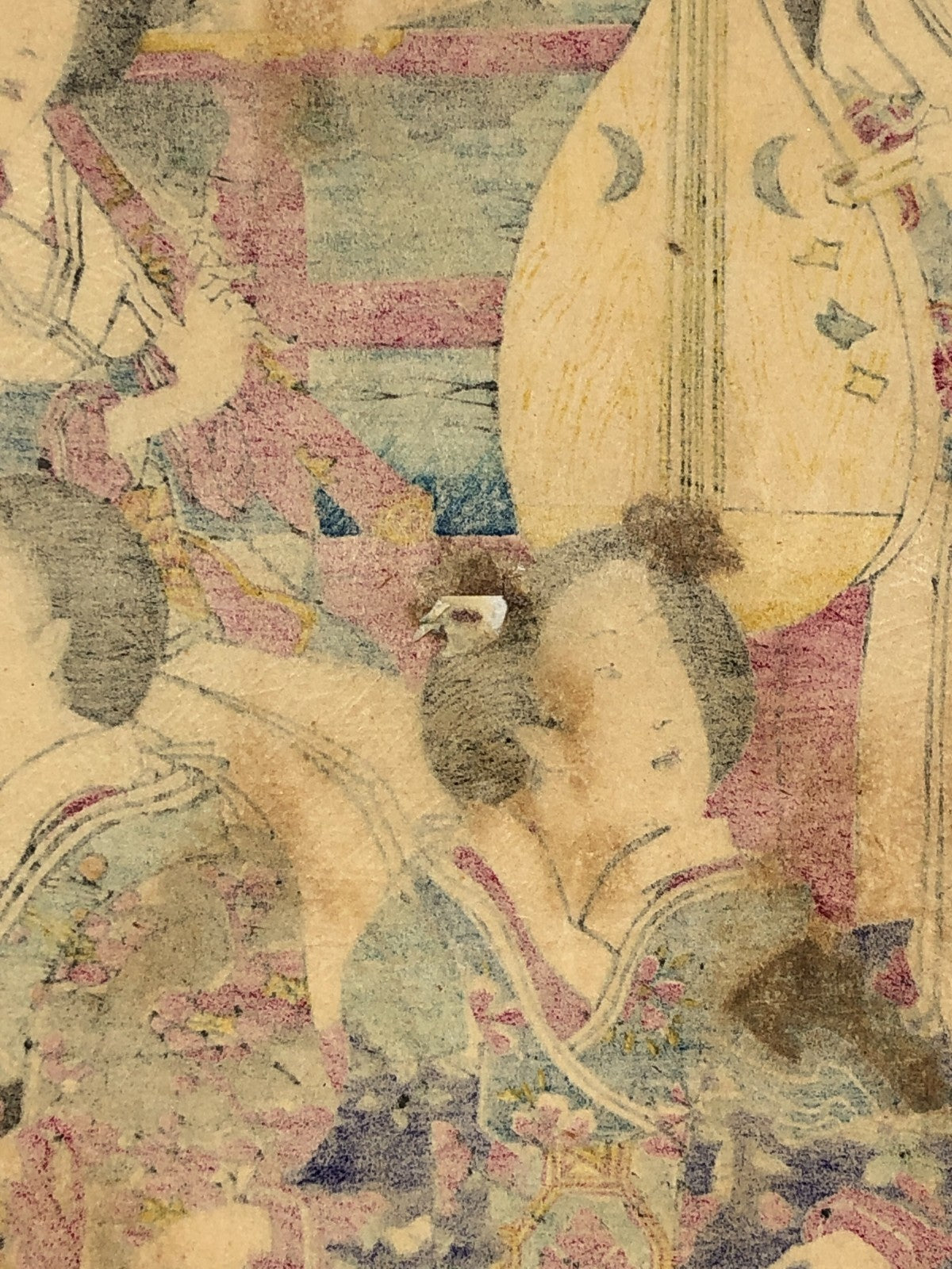 Image #14