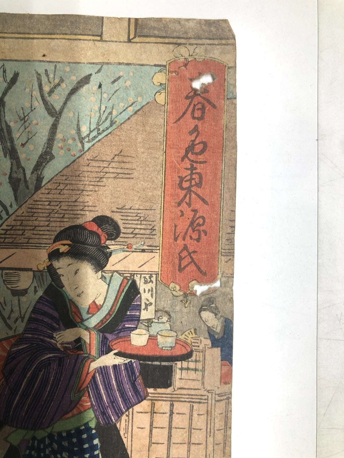 Image #5