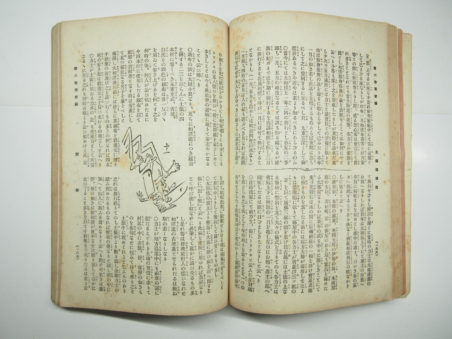 Image #12