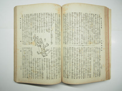 Image #12