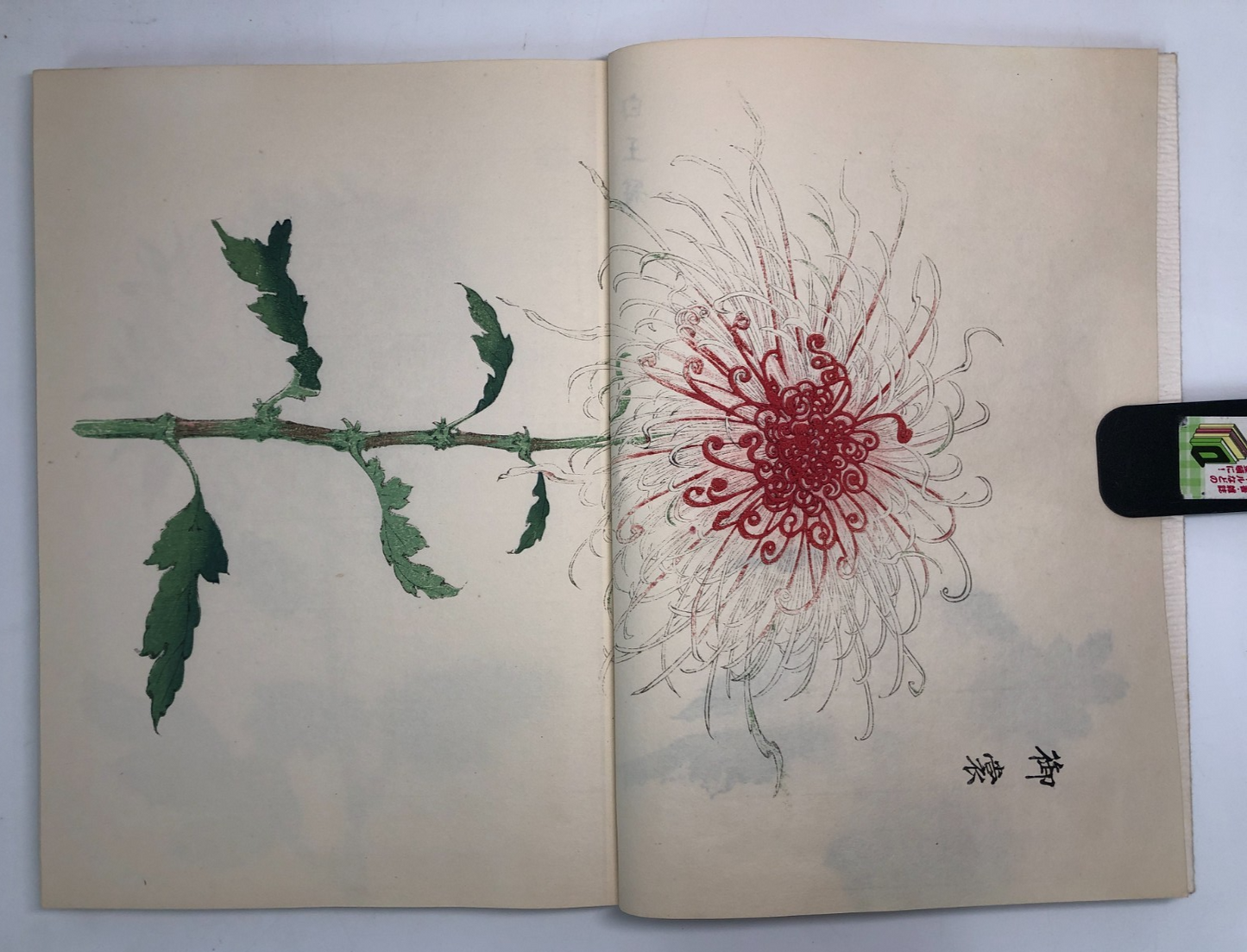 Image #15
