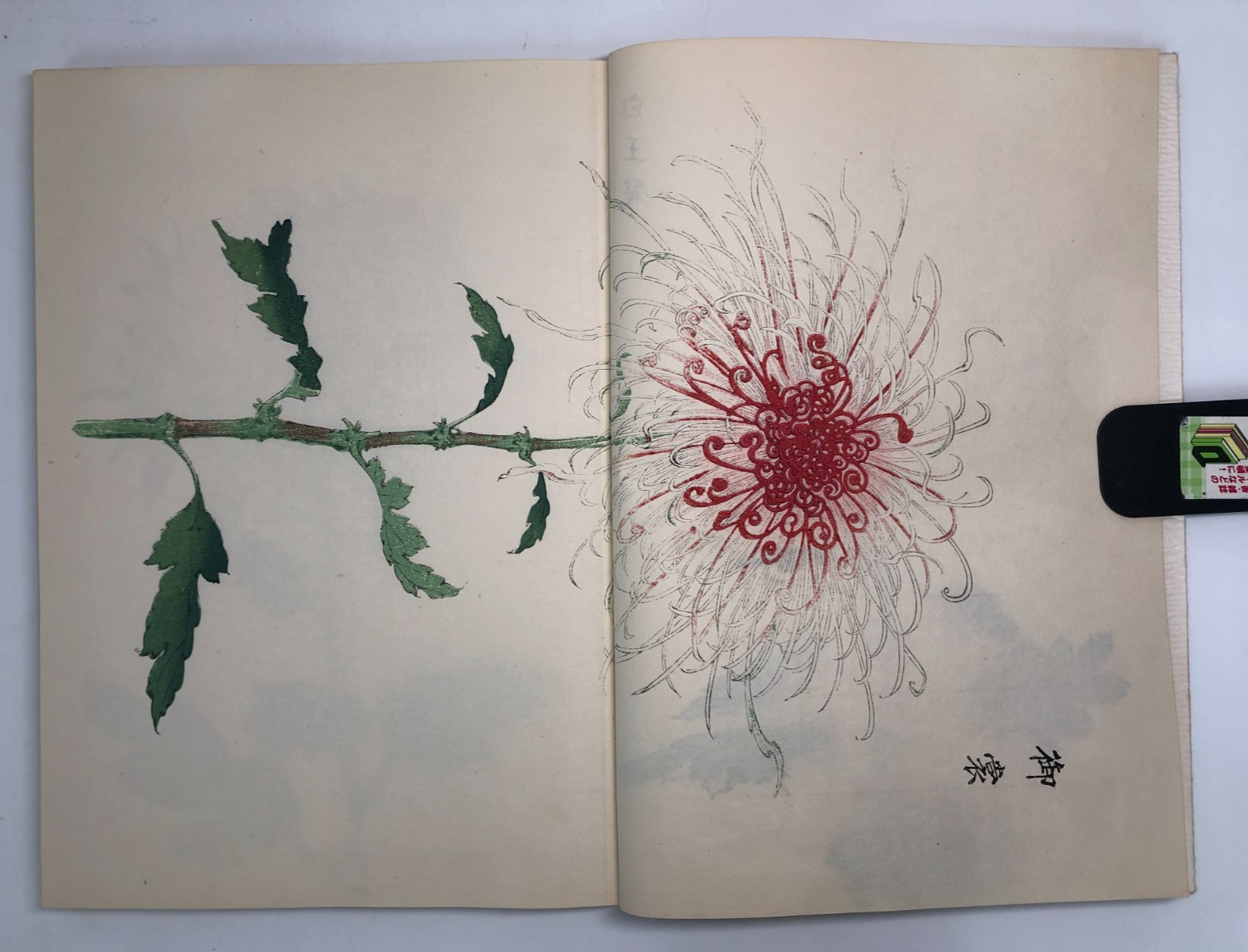 Image #15