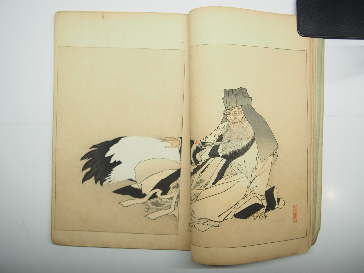 Image #8