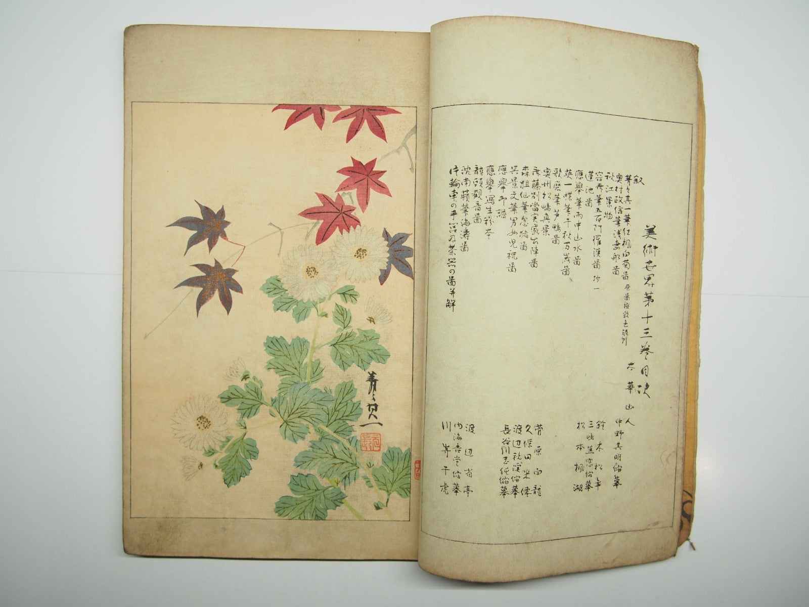 Image #5