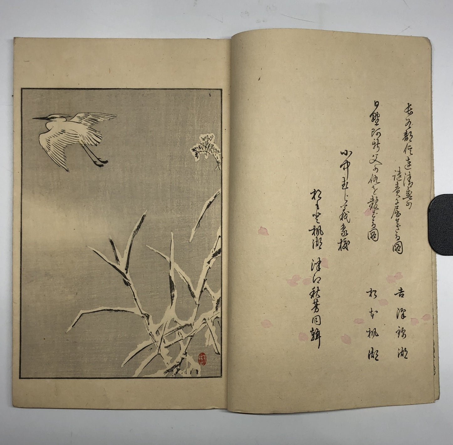 Image #7
