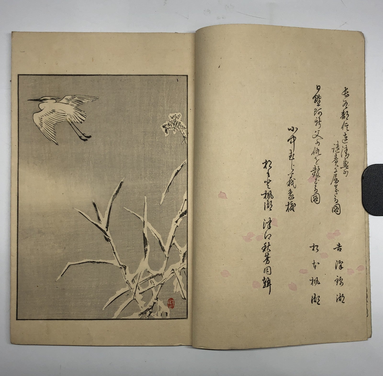 Image #7