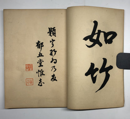 Image #5