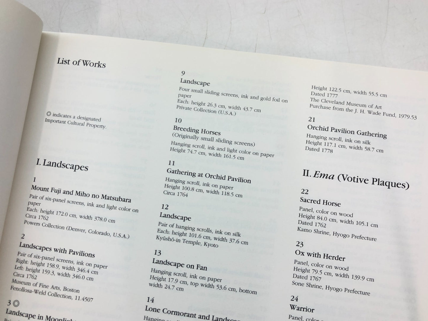 Image #11