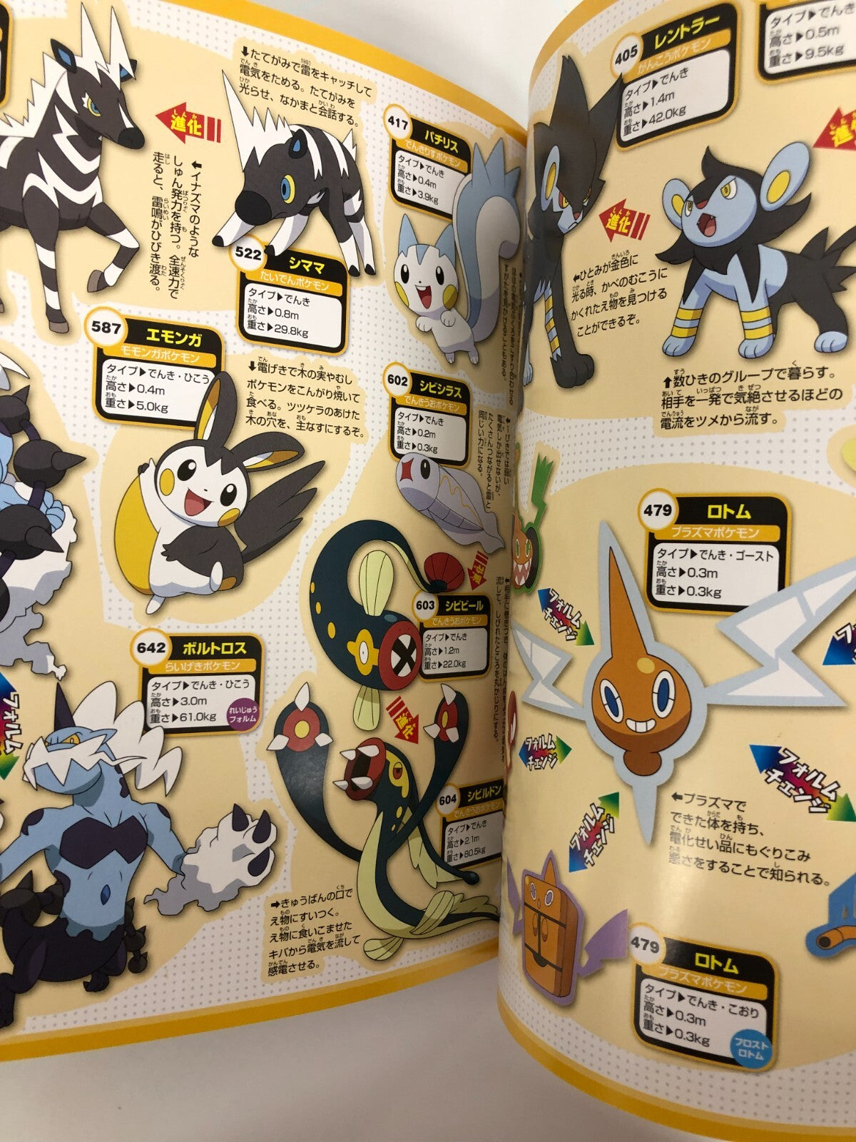 Image #5