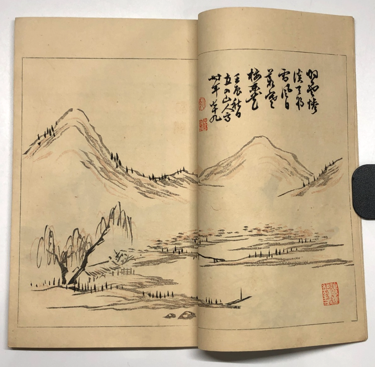 Image #9