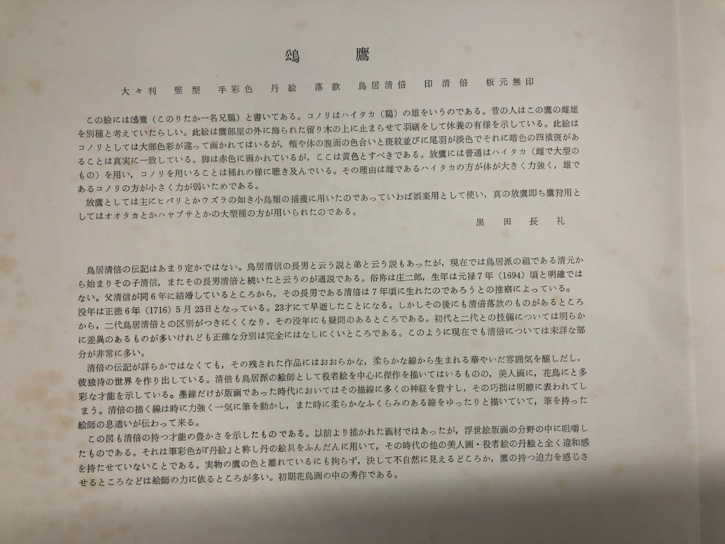 Image #10