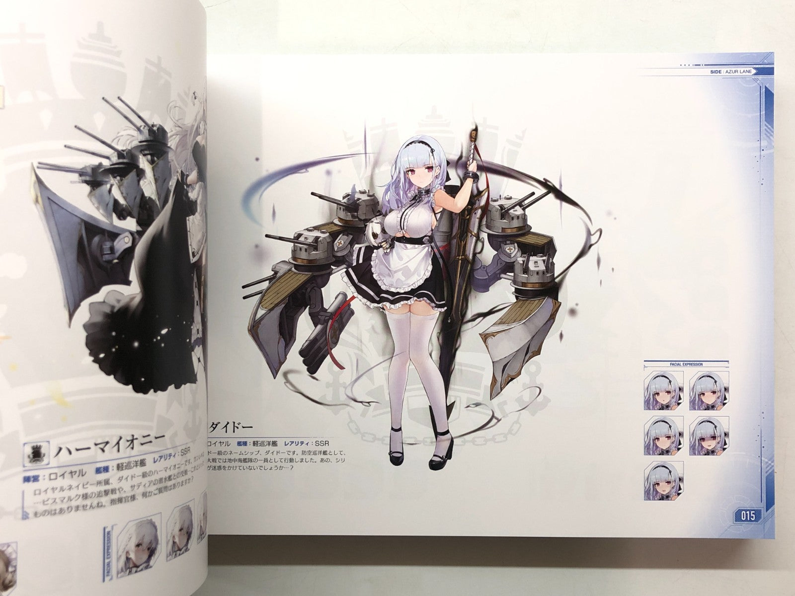 Image #10