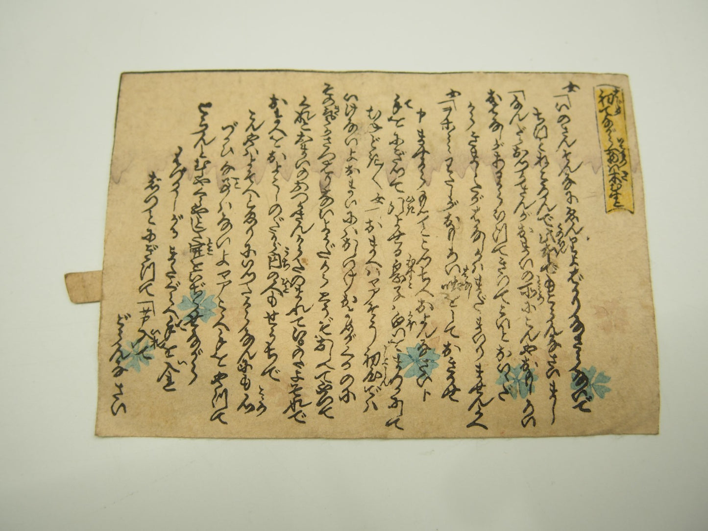 Image #6