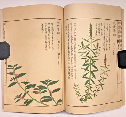Image #19